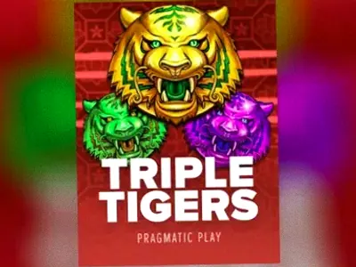 Triple Tigers at Fair Go